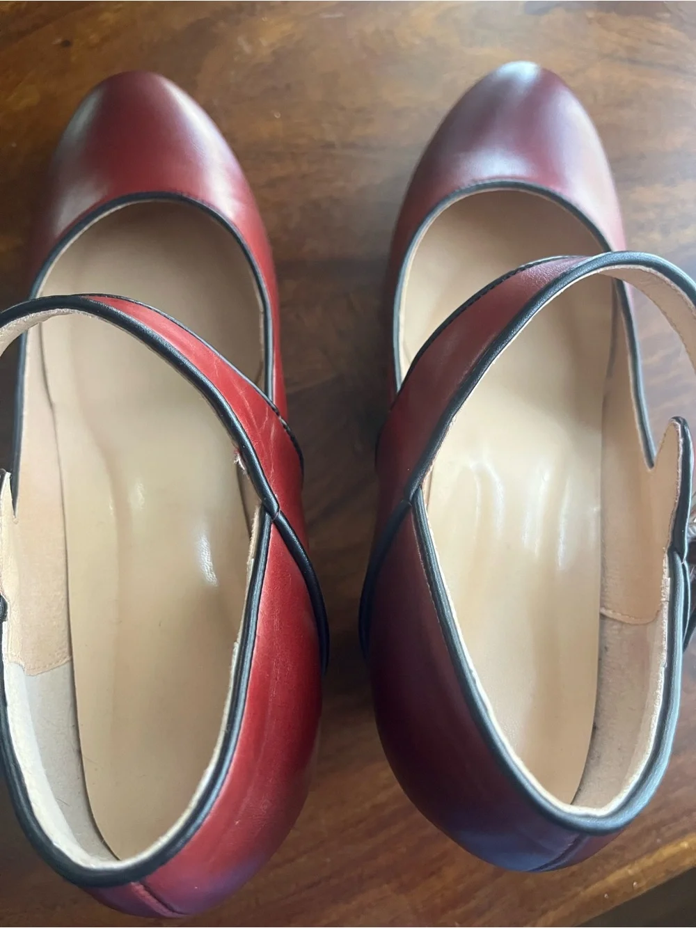 Burgundy Ombré Mary Jane Pumps with Block Heel | Vintage-Inspired | Size 10